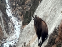 Everest Base Camp Trekking