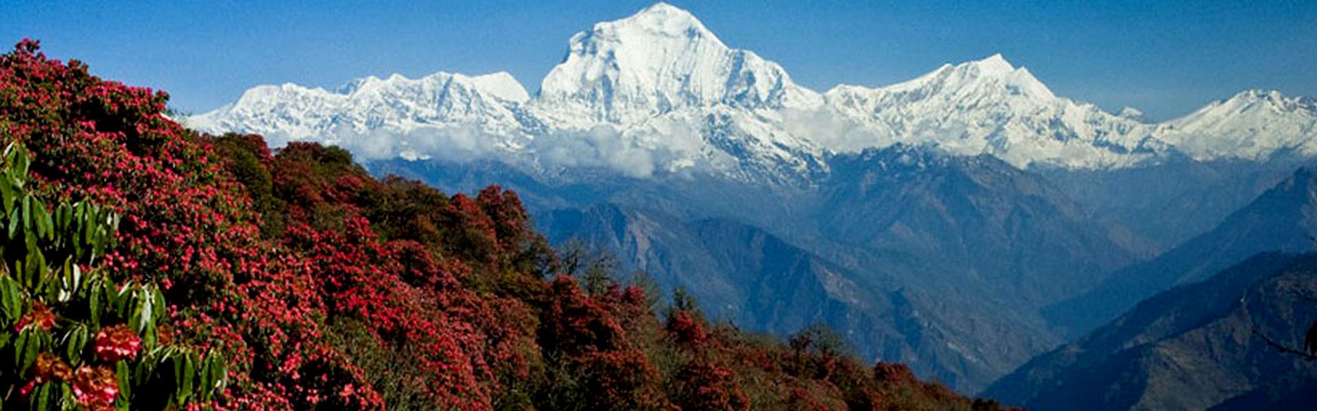 Trekking In Nepal